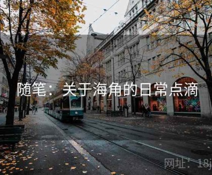 随笔：关于海角的日常点滴