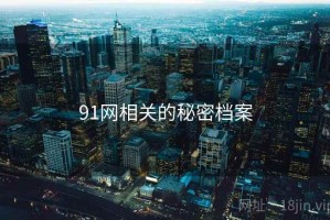 91网相关的秘密档案