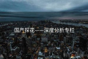 国产探花——深度分析专栏