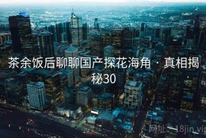 茶余饭后聊聊国产探花海角 · 真相揭秘30