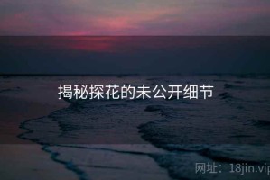 揭秘探花的未公开细节