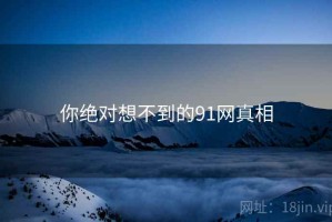 你绝对想不到的91网真相