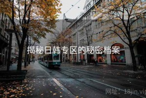 揭秘日韩专区的秘密档案