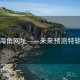 海角网址——未来预测特辑