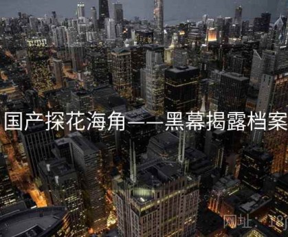 国产探花海角——黑幕揭露档案