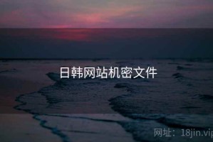 日韩网站机密文件
