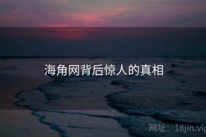 海角网背后惊人的真相