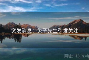 突发消息：兔子先生引发关注