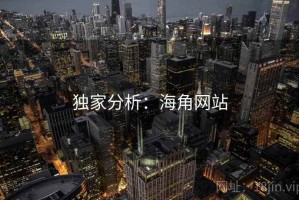 独家分析：海角网站