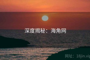 深度揭秘：海角网