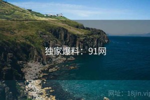 独家爆料：91网