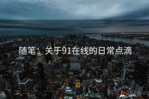 随笔：关于91在线的日常点滴