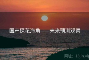 国产探花海角——未来预测观察