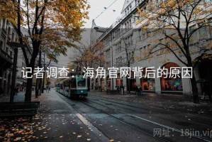 记者调查：海角官网背后的原因