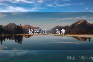 秘密追踪：海角