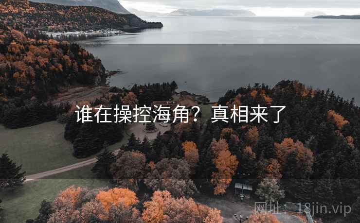 谁在操控海角？真相来了