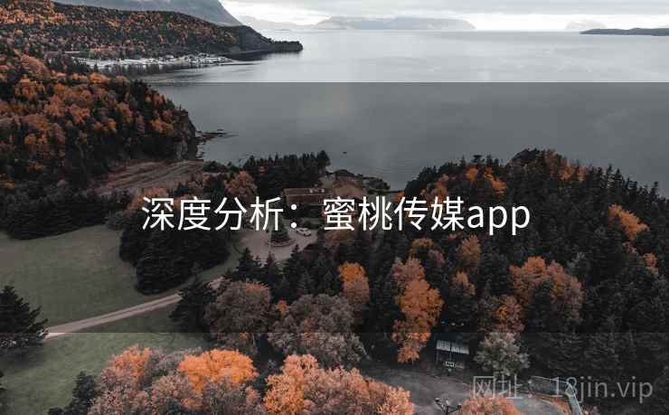 深度分析：蜜桃传媒app