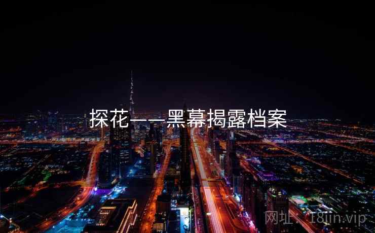 探花——黑幕揭露档案