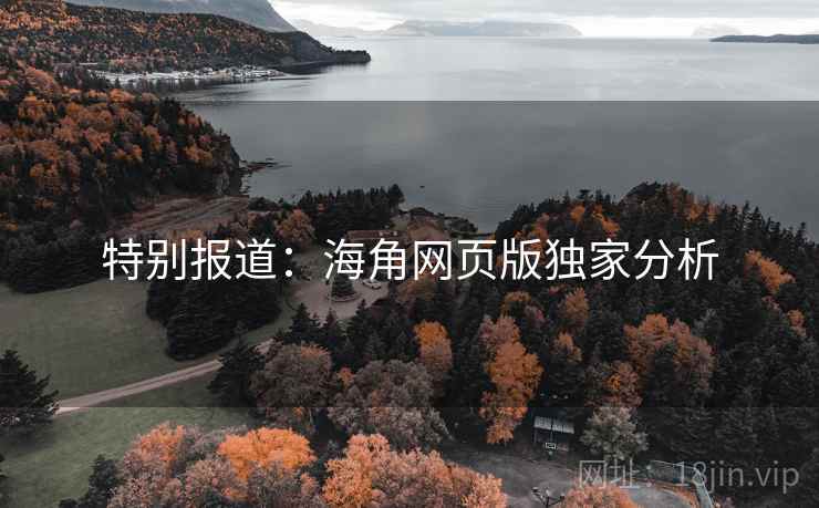 特别报道：海角网页版独家分析