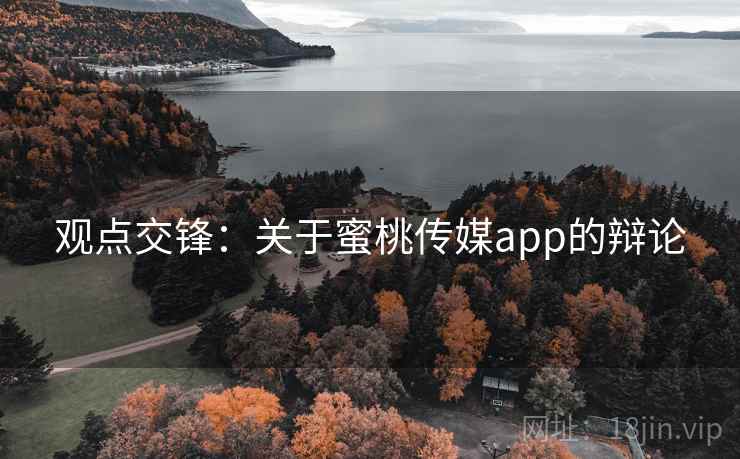 观点交锋：关于蜜桃传媒app的辩论