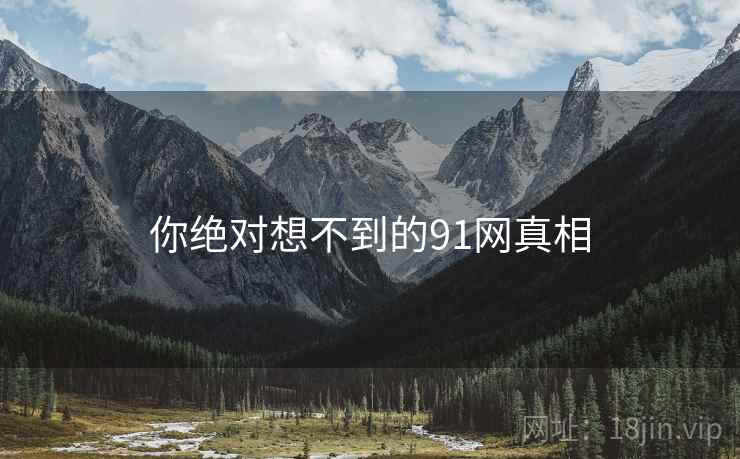 你绝对想不到的91网真相