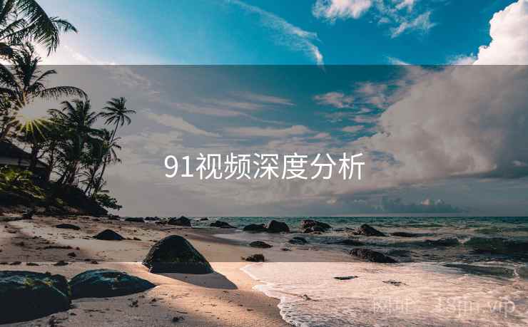 91视频深度分析