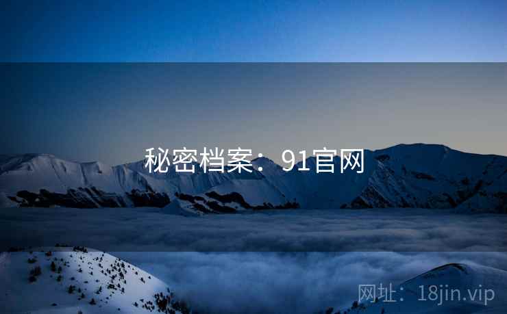 秘密档案：91官网