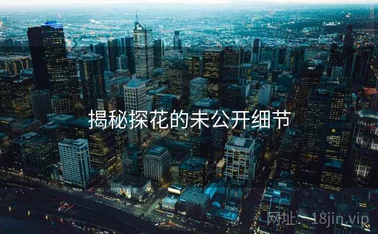 揭秘探花的未公开细节